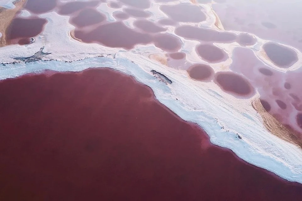 Необычный цвет воде придают рачки. Фото: sergey_sterling