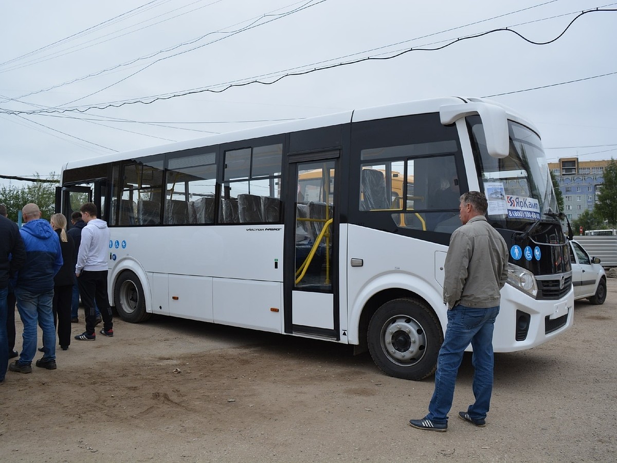 Как выглядит автобус, который возможно заменит ПАЗики в Сыктывкаре - KP.RU