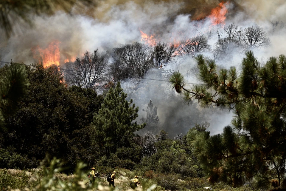 Лесной пожар в Калифорнии признан вторым по площади за всю историю штата