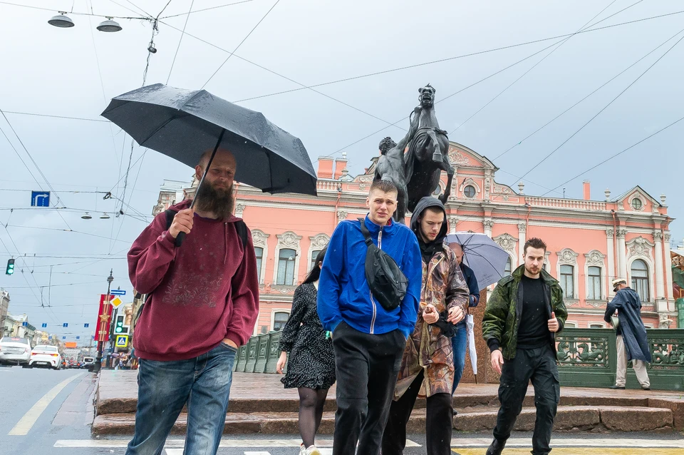 Дожди и грозы ожидаются в Петербурге 24 августа