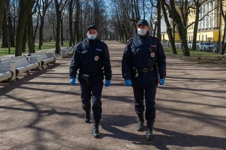 Пакет с жестоко убитыми котятами нашли в Санкт-Петербурге.