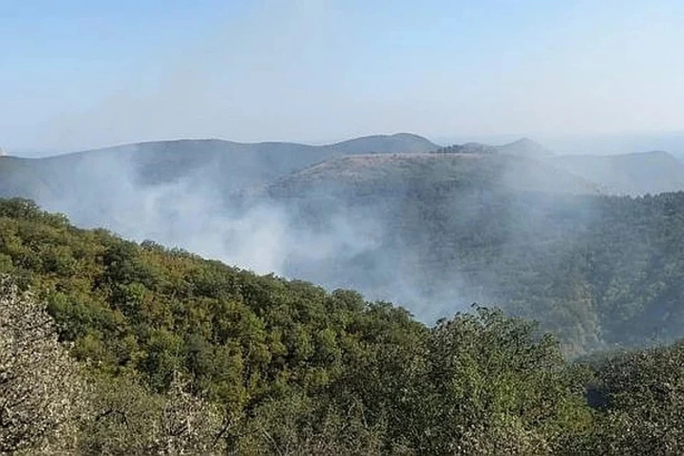 Лесная охрана принимает звонки о дыме над лесом круглосуточно