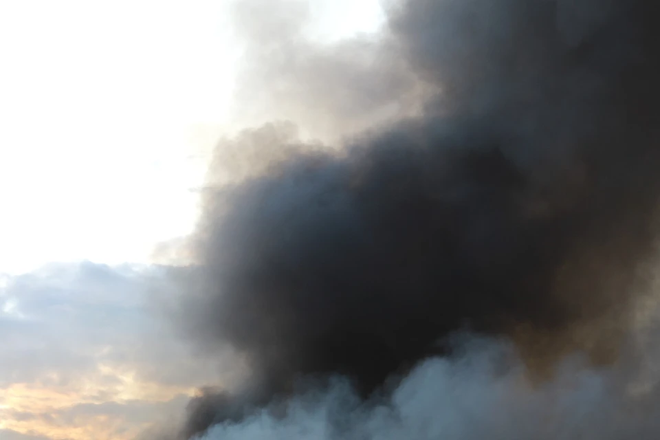 На пожаре в Красноярском крае погибли мать и двое детей.
