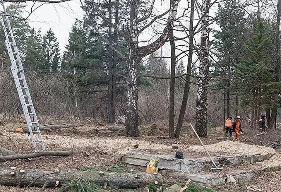 Известно, что ЧП произошло в 10 часов утра в лесном массиве в 1,5 км от деревни Ракитовка.