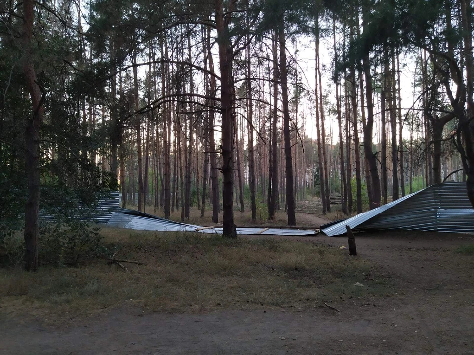 Таким забор в Северном лесу был несколько дней назад.