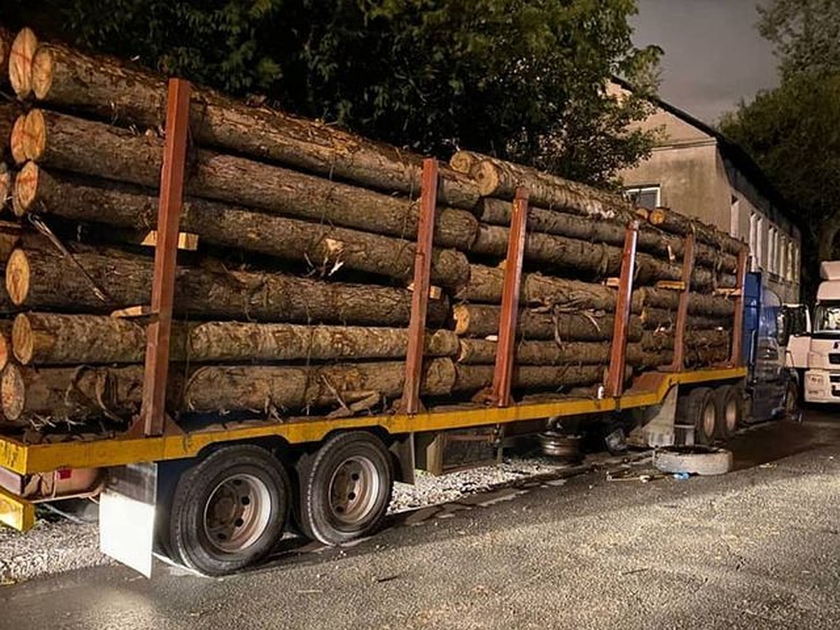 Во Владивостоке груженый лесом длинномер врезался в дом и задел КамАЗ -  KP.RU