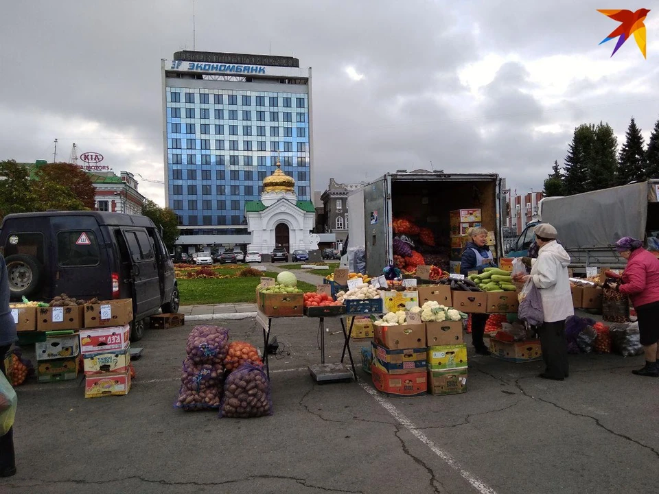В Саратове откроются сельхозярмарки