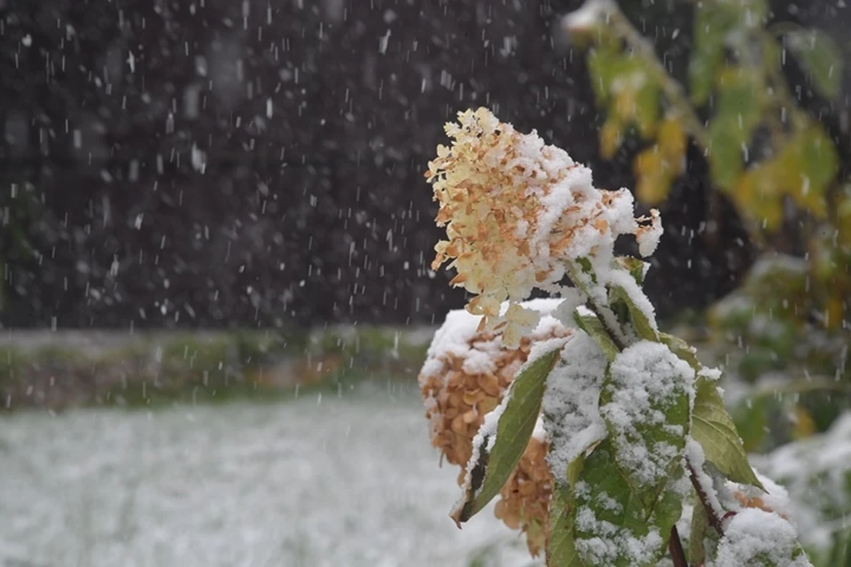 В Кузбассе выпал первый снег
