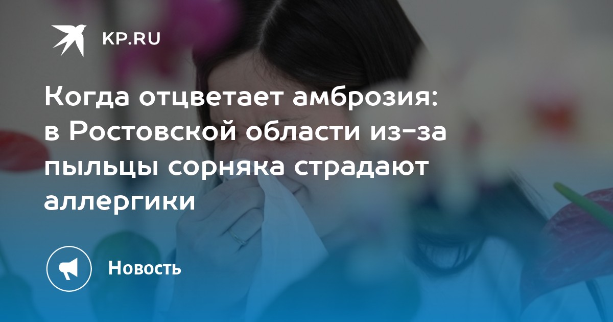 Шкода в ростовской области