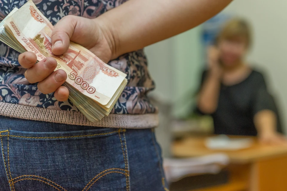 Бухгалтер из детсада Петербурга подозревается в краже 5 млн бюджетных денег