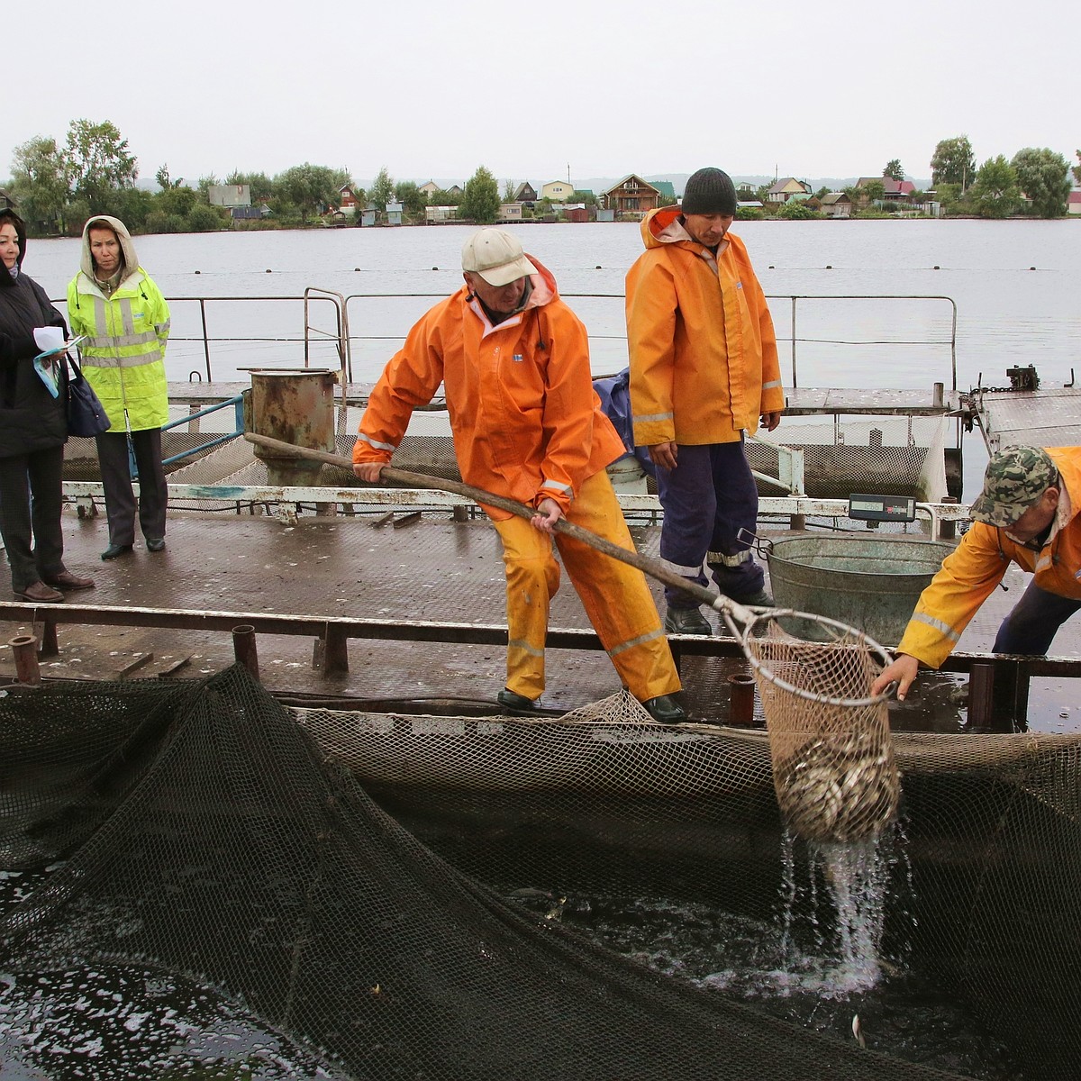 Кармановское водохранилище обогатилось белым амуром и толстолобиком - KP.RU