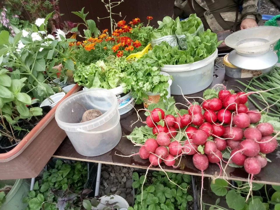 На ярмарке можно будет купить свежие овощи и мед.
