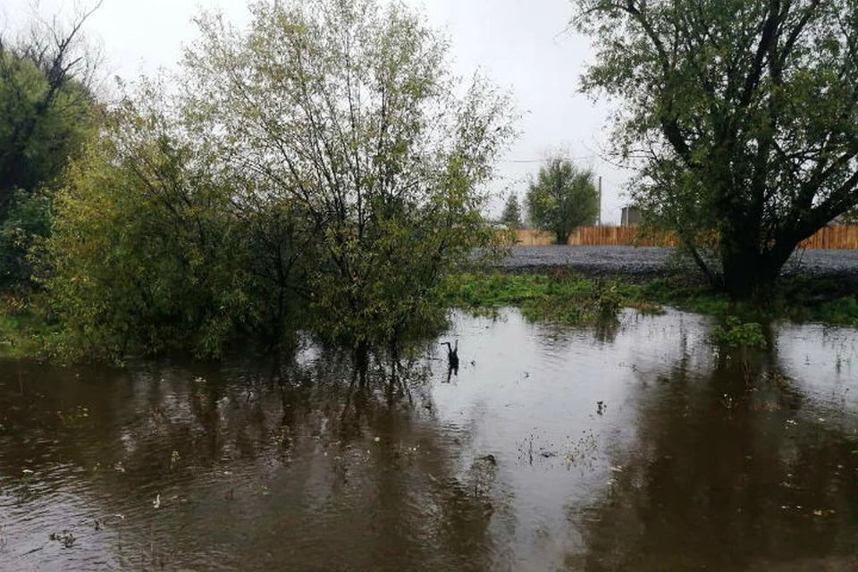 Уровень воды в реке Ушаковка в Иркутске поднялся почти до критической отметки. Фото: ГУ МЧС России по Иркутской области