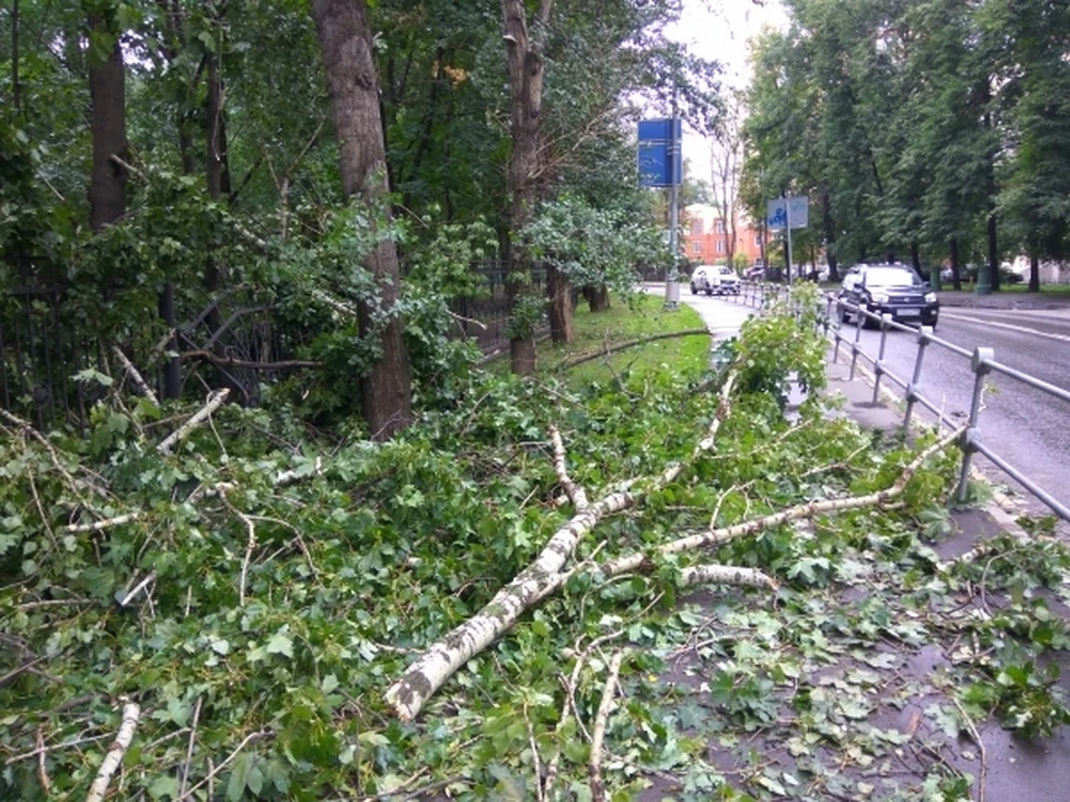 Спасатели напоминают курянам о соблюдении правил безопасности во время непогоды