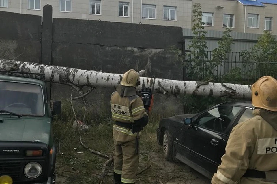 По прогнозам, порывы ветра могут достигать 20 метров в секунду.