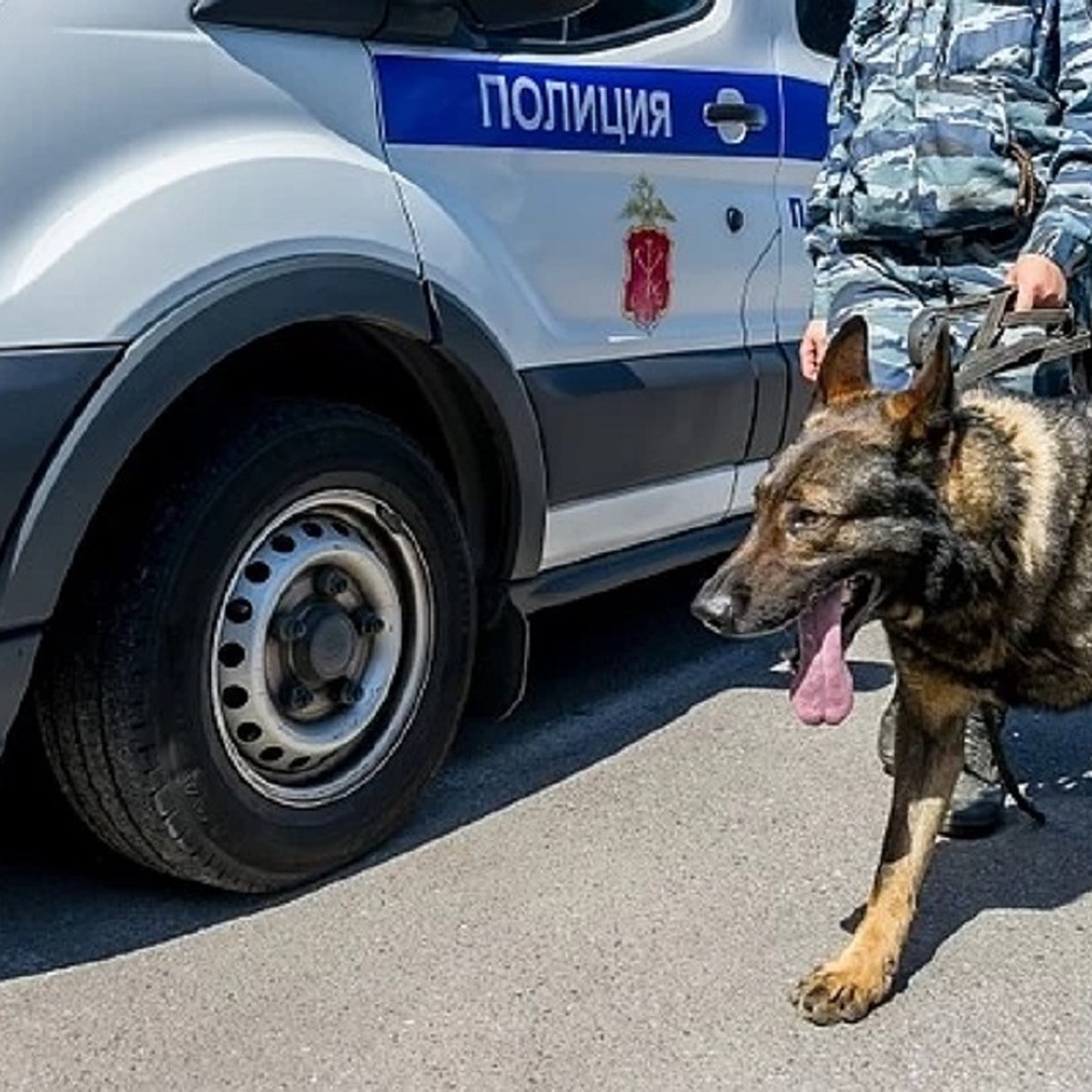 Вломились в дом с битой»: под Новосибирском банда в масках напала на семью  - KP.RU