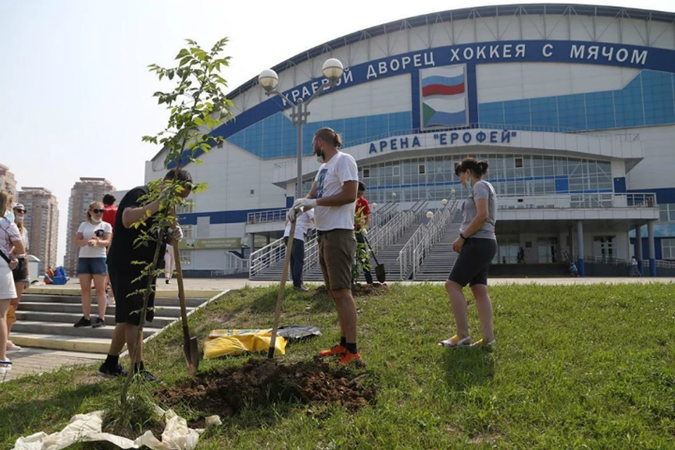 В Хабаровске перед субботником проведут спортивную разминку ФОТО: Арена «Ерофей»