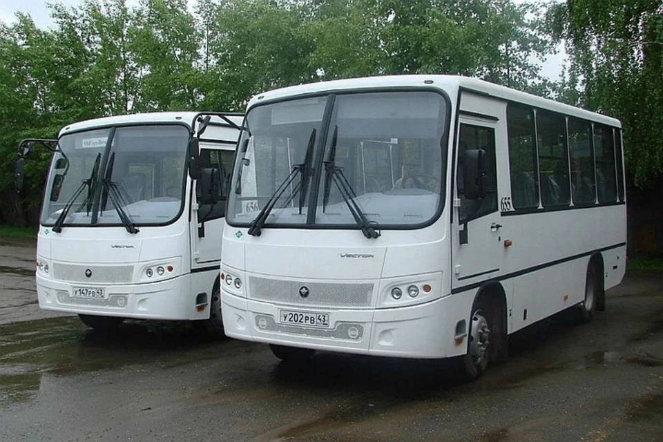 Автотранспортные предприятия планируют закупить 149 автобусов. Фото: vk.com/kpat43