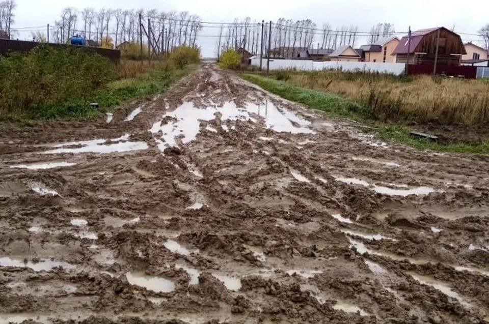 Фото из личного архива Натальи Бровиной