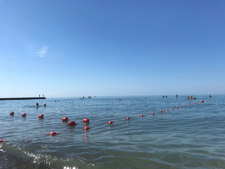 В Сочи морское такси планируют запустить в мае 2021 года