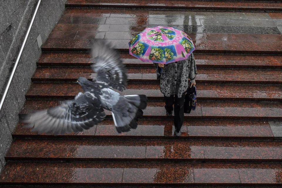 Кратковременный дождь пройдет в Новосибирске.