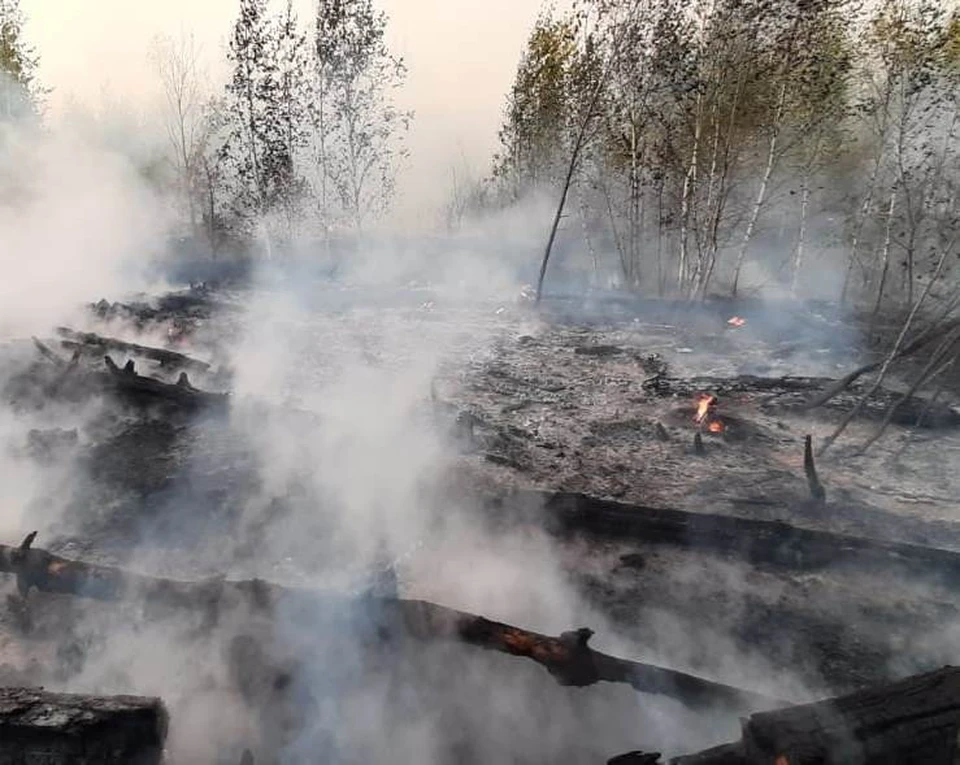 Пожар в богучарском районе. Ландшафтный пожар.