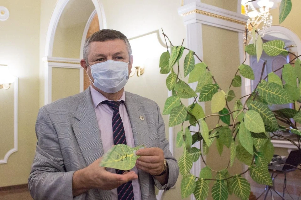 Проект «Дерево желаний» инициирован в 2019 году. Фото: пресс-служба драмтеатра Донецка