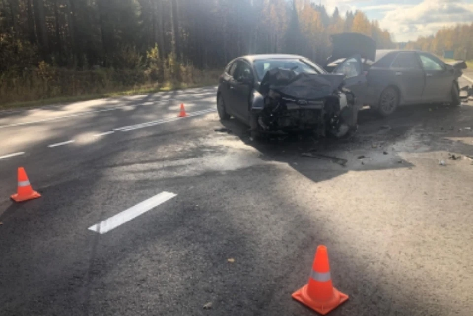 Фото: ГУ МВД по Пермскому краю