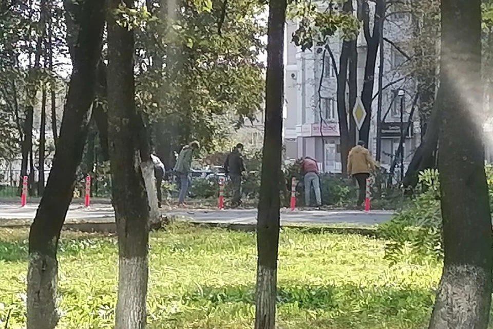 Фото: группа «Типичный Брянск» в vk.com.