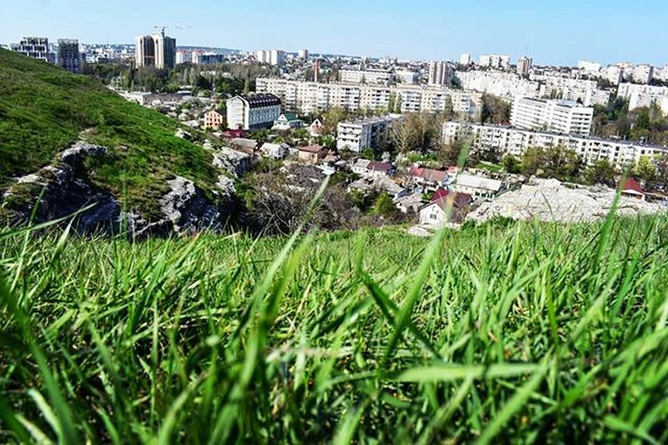 Крымское культурное наследие выставили на аукцион.