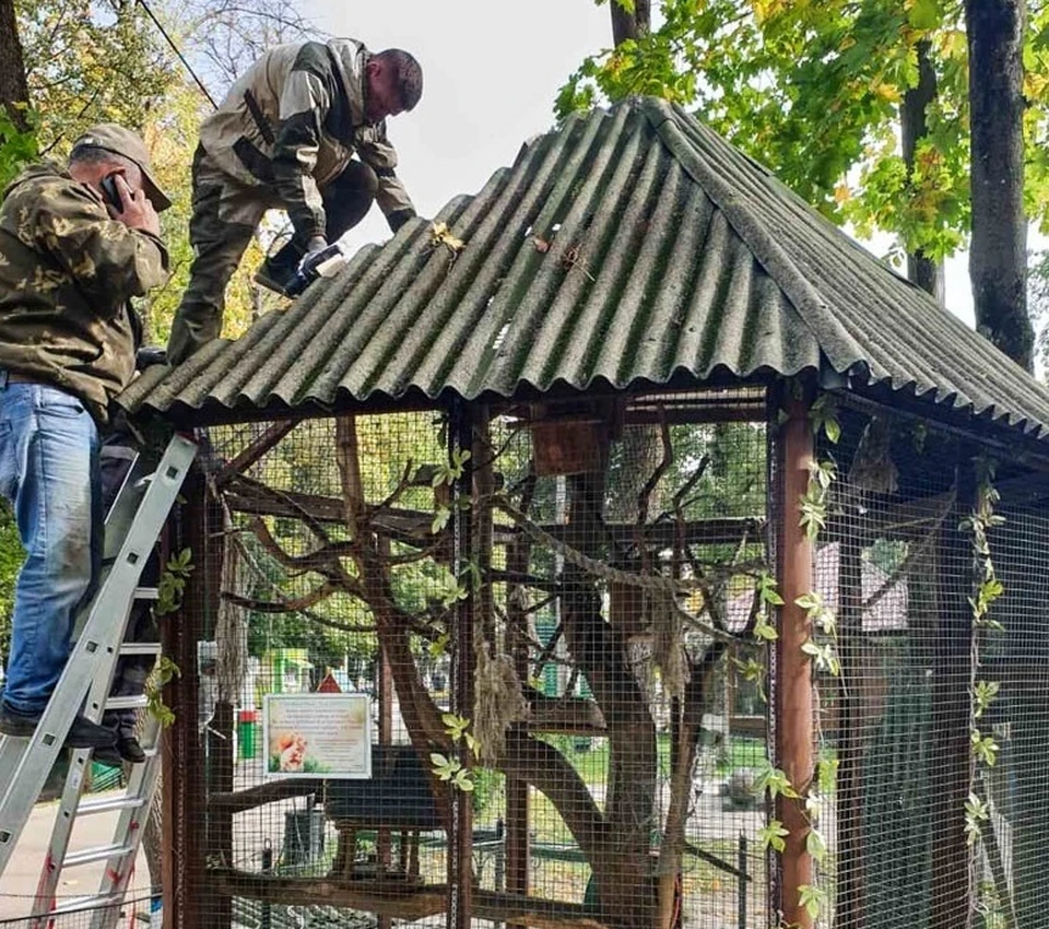 Дом для белок отремонтировали в Лопатинском саду в Смоленске. Фото: администрация г. Смоленска.