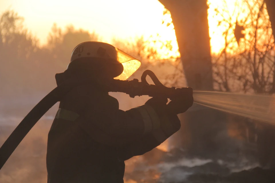 В этот день всего пожарные ДНР ликвидировали 53 возгорания. Фото: Пресс-служба МЧС ДНР