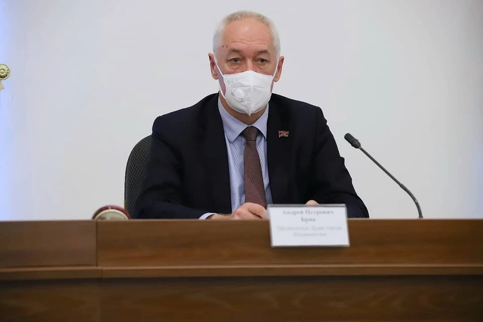 Председатель Думы Владивостока Андрей Брик. Фото: сайт Думы Владивостока