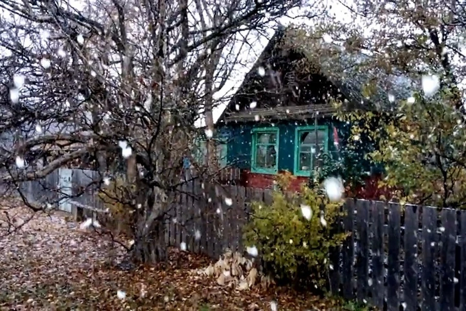 Первый снег в Уборке. Фото: Владимир Кобзарь