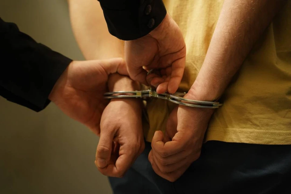 Дебоширов признали виновными по статье «Применение насилия в отношении представителя власти».