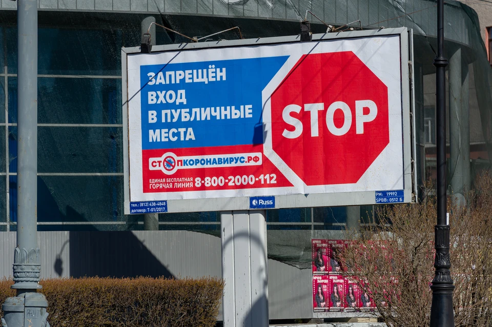 Число заразившихся в Ленобласти не утешает