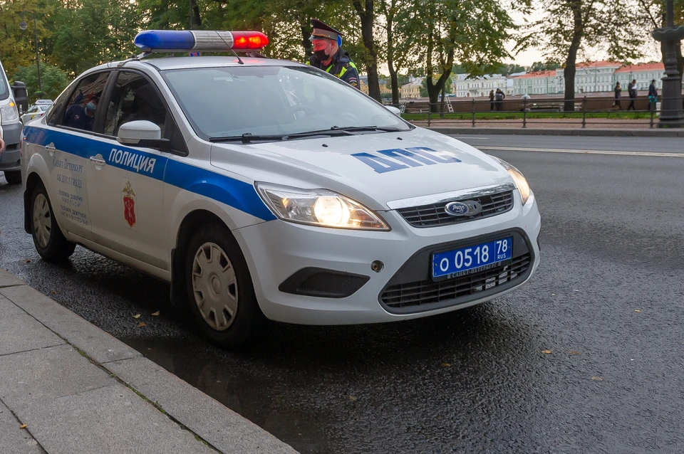 Полиция Петербурга разыскивает мужчину, развратившего 7-летнюю девочку в Московском районе города