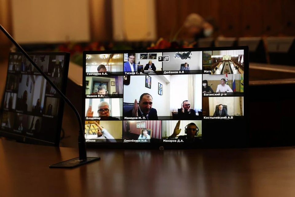 Заседание проходило в онлайн-режиме. Фото: предоставлено Законодательным собранием Новосибирской области.