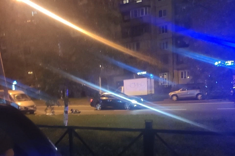 На проспекте Ударников ночью насмерть сбили человека. Фото: vk.com/spb_today