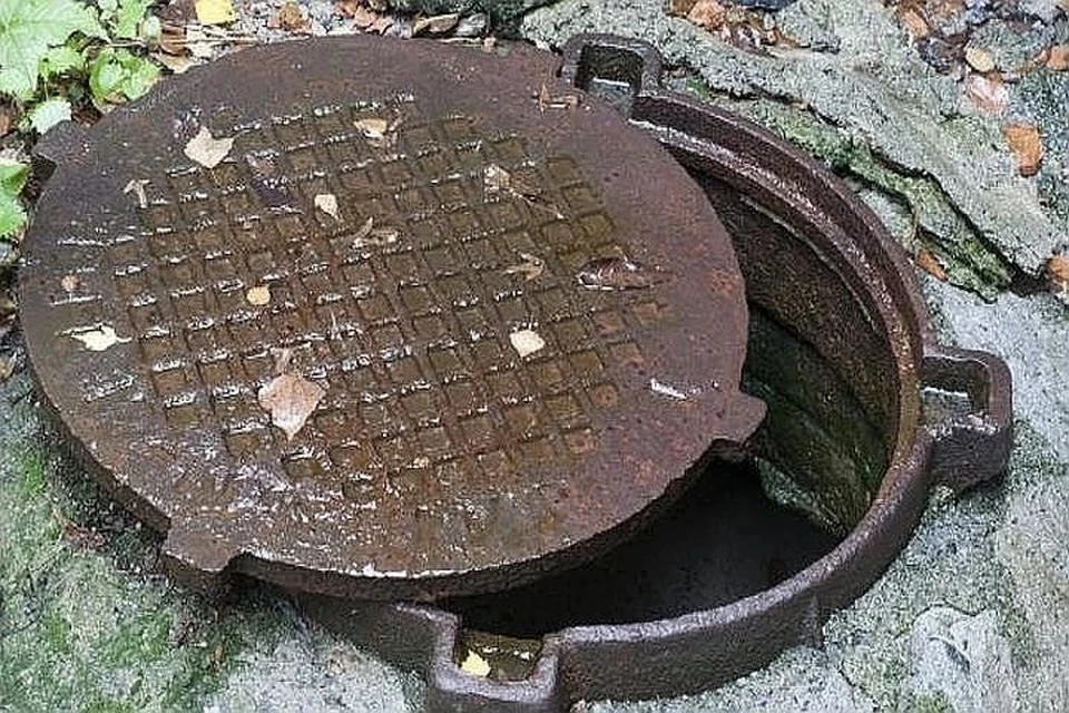 Полицейские обнаружили крышки от люков у мужчин в машине во время проверки документов.