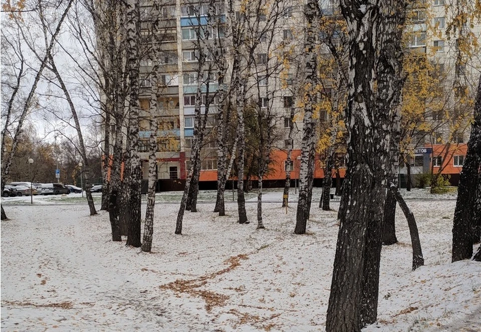 В Тюмени сегодня снег будет идти почти весь день.