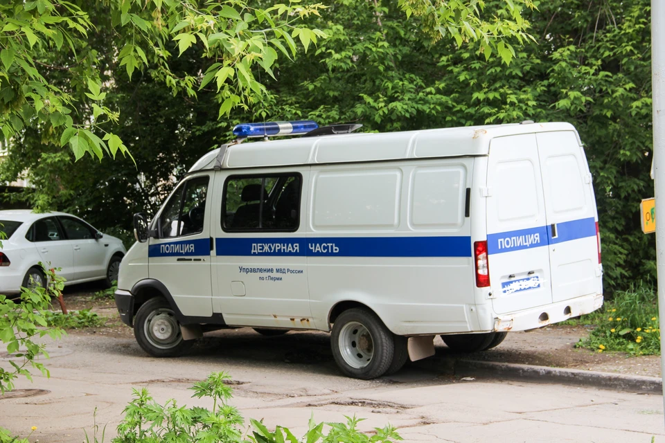 Девушку задержали полицейские, она призналась в краже.