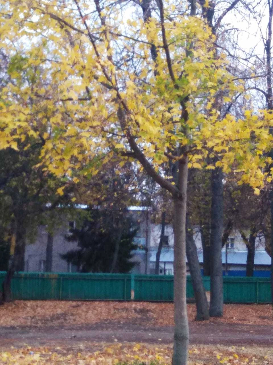 На выходные в Белгородской области будет сухо и морозно.