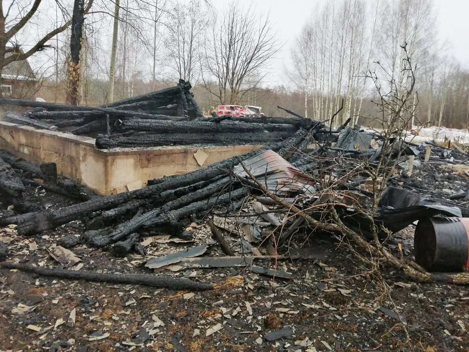 Во время пожара погиб мужчина Фото: СУ СК РФ по Тверской области