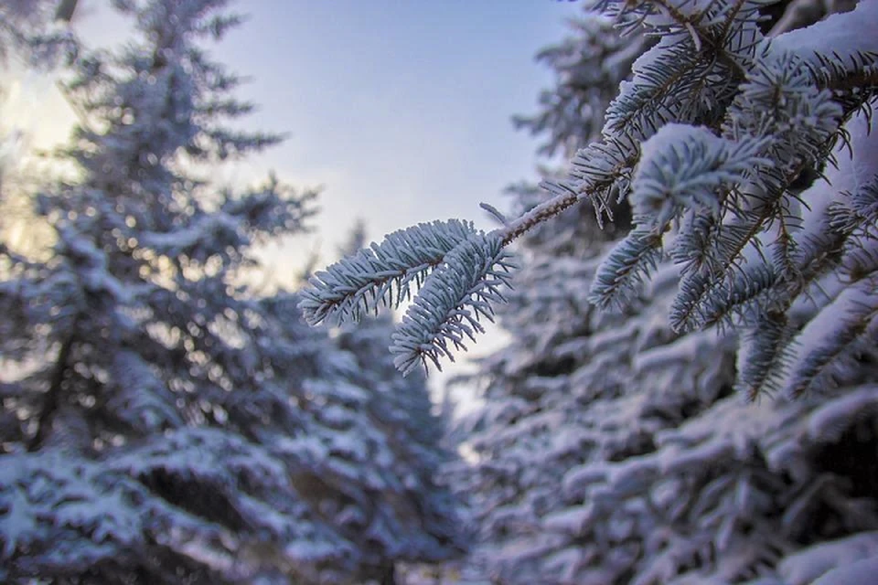 Температура днем в Томске составит -8, -10 °С