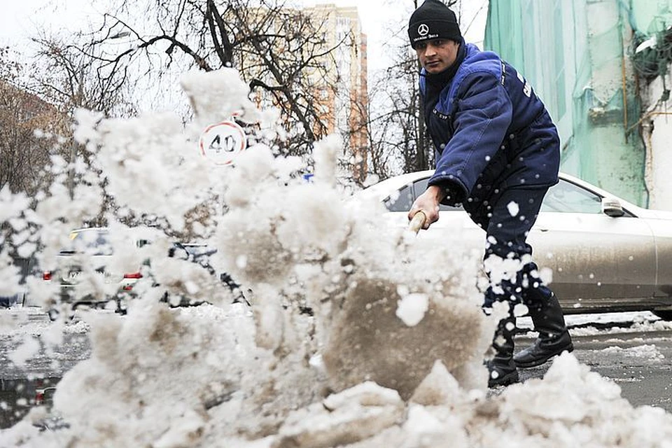 Владивосток пытается пережить ледовый апокалипсис
