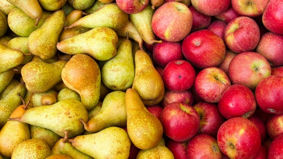 Смоленские таможенники уничтожили более 40 тонн груш и яблок из Беларуси Фото: pixabay.com.