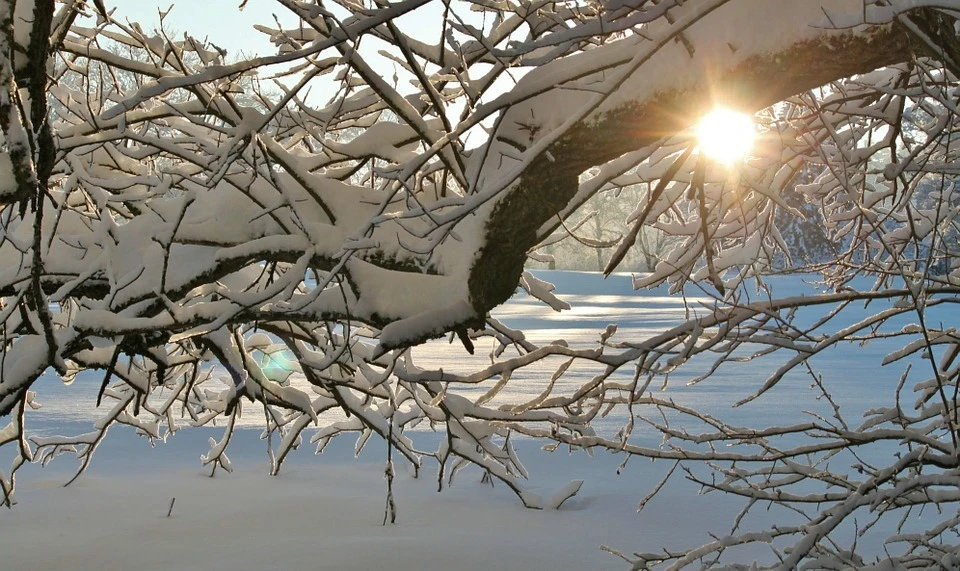 В Югре ночью местами небольшой снег. Фото - pixabay.com.