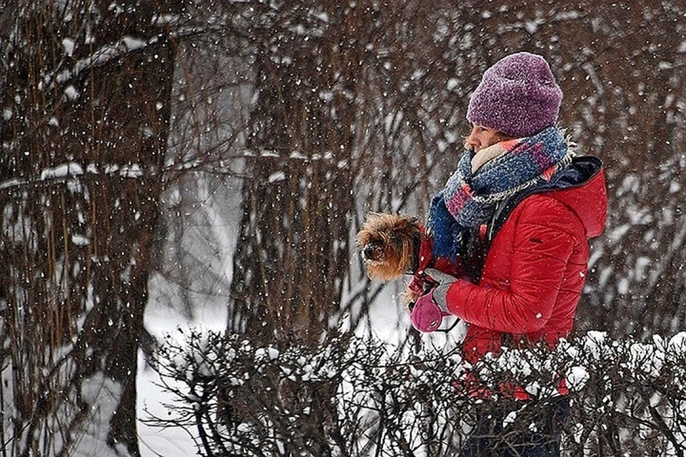 Перед выходом на улицу стоит одеваться теплее.