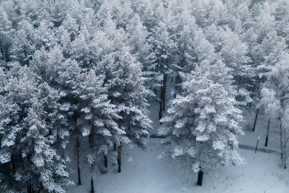 Прогноз погоды на декабрь